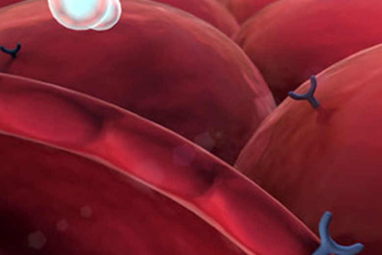 Pomažemo u poboljšanju života pacijenata sa diabetesom